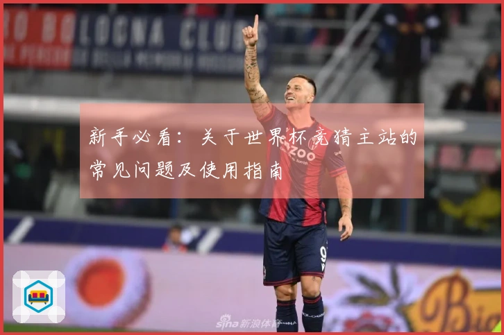新手必看：关于世界杯竞猜主站的常见问题及使用指南