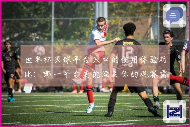 世界杯买球平台入口的使用体验对比：哪一平台更能满足你的观赛需求？