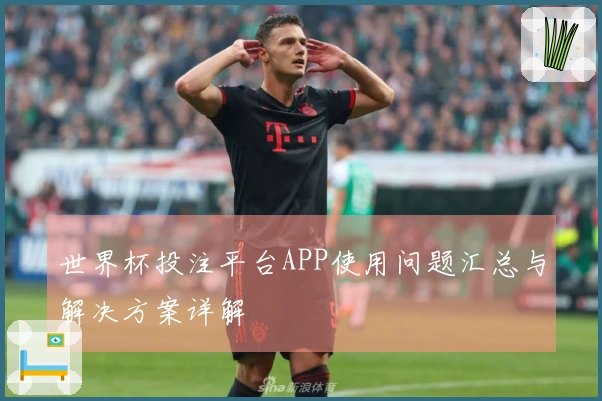 世界杯投注平台APP使用问题汇总与解决方案详解