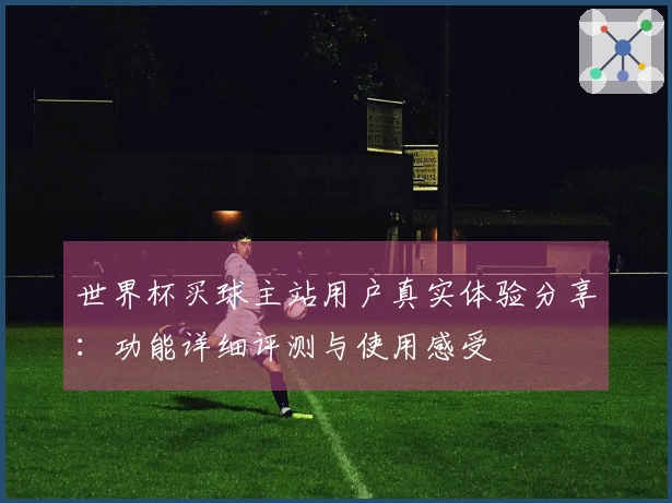 世界杯买球主站用户真实体验分享：功能详细评测与使用感受