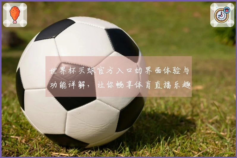 世界杯买球官方入口的界面体验与功能详解，让你畅享体育直播乐趣