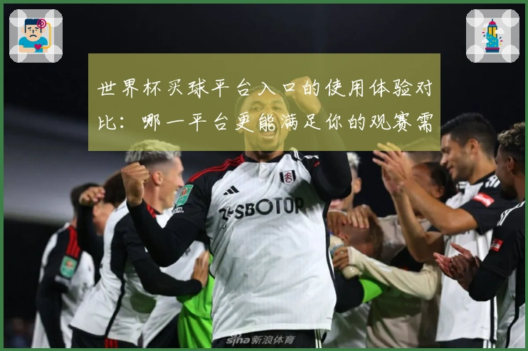世界杯买球平台入口的使用体验对比：哪一平台更能满足你的观赛需求？