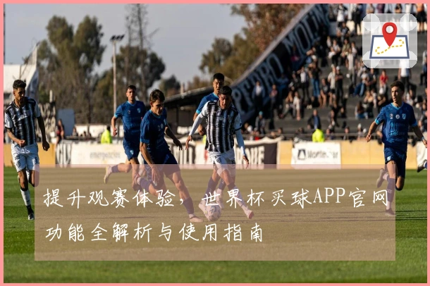 提升观赛体验，世界杯买球APP官网功能全解析与使用指南