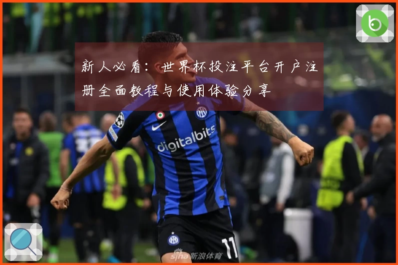 新人必看：世界杯投注平台开户注册全面教程与使用体验分享