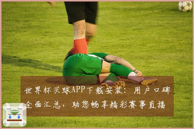 世界杯买球APP下载安装：用户口碑全面汇总，助您畅享精彩赛事直播体验