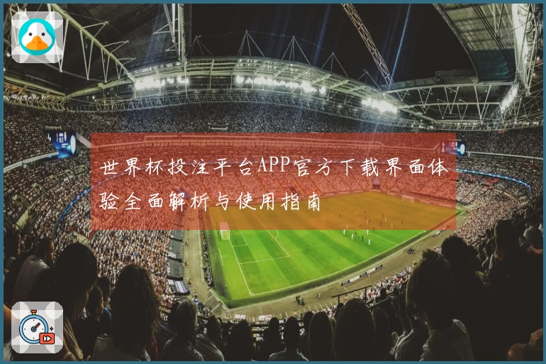 世界杯投注平台APP官方下载界面体验全面解析与使用指南