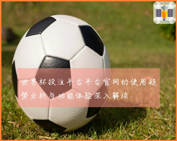 世界杯投注平台平台官网的使用趋势分析与功能体验深入解读