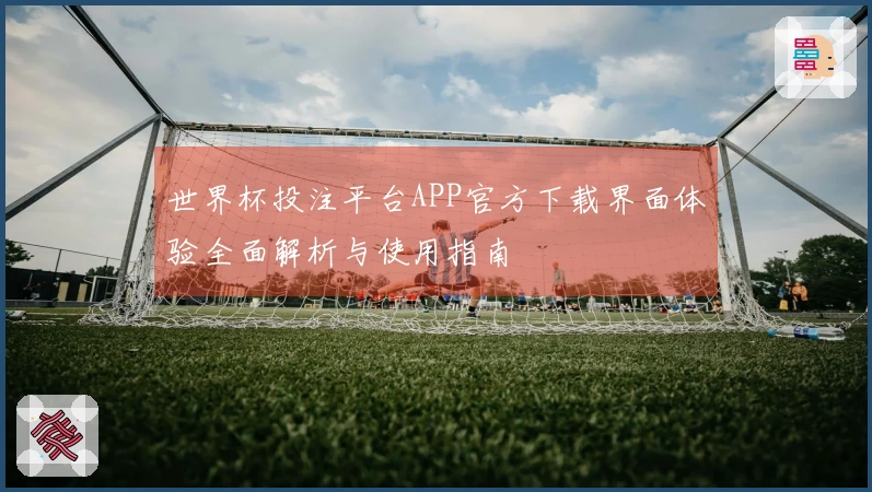 世界杯投注平台APP官方下载界面体验全面解析与使用指南
