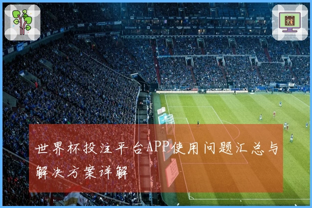 世界杯投注平台APP使用问题汇总与解决方案详解