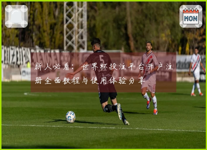新人必看：世界杯投注平台开户注册全面教程与使用体验分享