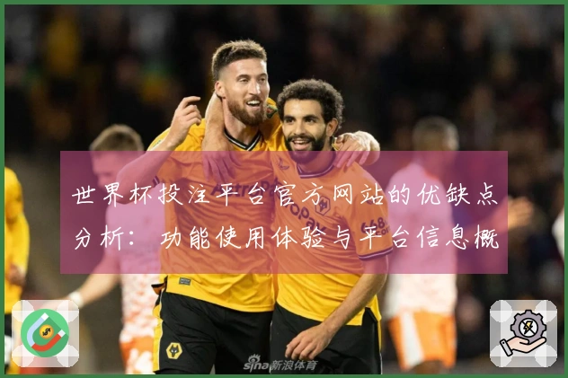 世界杯投注平台官方网站的优缺点分析：功能使用体验与平台信息概述