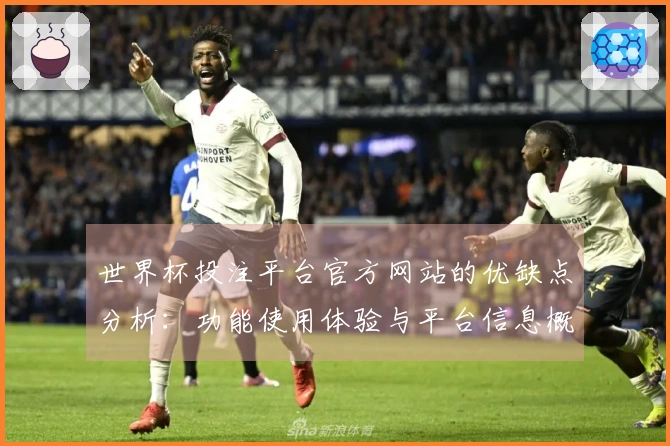 世界杯投注平台官方网站的优缺点分析：功能使用体验与平台信息概述