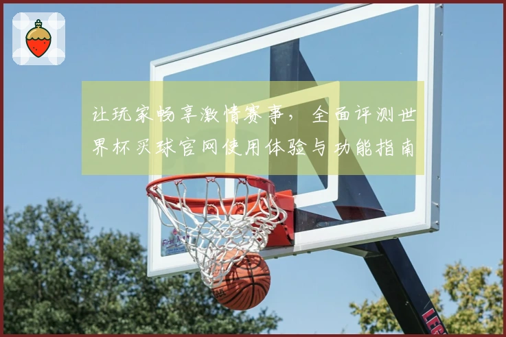 让玩家畅享激情赛事，全面评测世界杯买球官网使用体验与功能指南