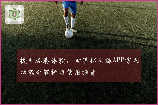 提升观赛体验，世界杯买球APP官网功能全解析与使用指南