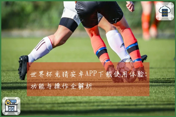 世界杯竞猜安卓APP下载使用体验：功能与操作全解析
